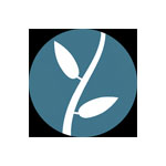 Lumion 2023.4.2.0中文版